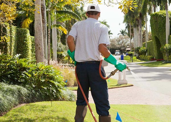 About Mariposa CA Pest Control